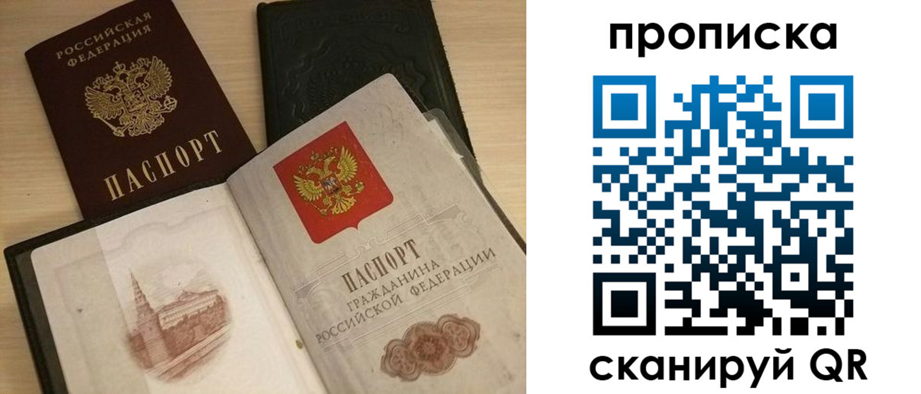 прописка в квартире в Зверево